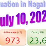 Active case in Nagaland drop down to 973