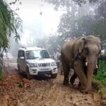 You can test ride your off-road engines here at Nagaland