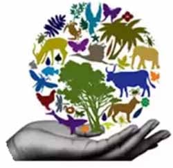 Seminar on conservation and biodiversity